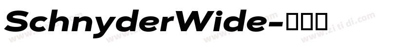 SchnyderWide字体转换