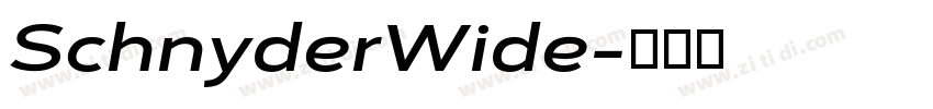 SchnyderWide字体转换