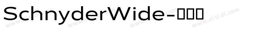 SchnyderWide字体转换