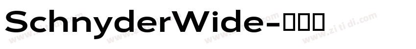 SchnyderWide字体转换