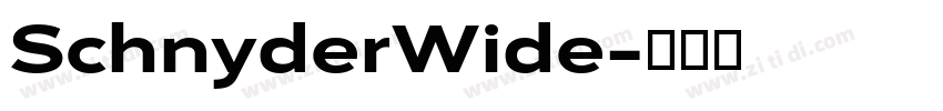SchnyderWide字体转换
