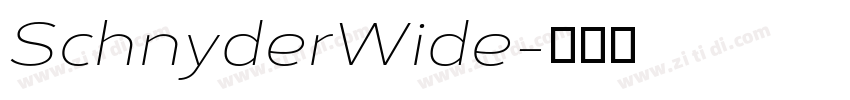 SchnyderWide字体转换