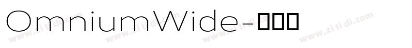OmniumWide字体转换