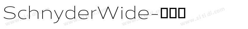 SchnyderWide字体转换