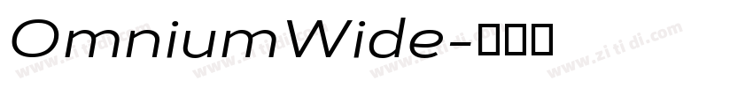 OmniumWide字体转换