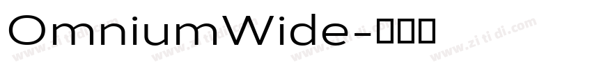 OmniumWide字体转换