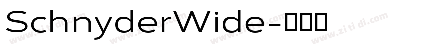 SchnyderWide字体转换