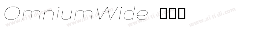 OmniumWide字体转换