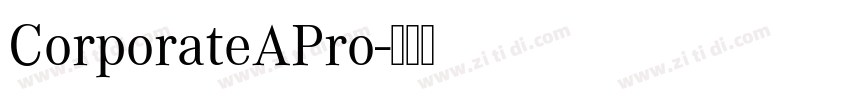 CorporateAPro字体转换