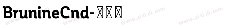 BrunineCnd字体转换