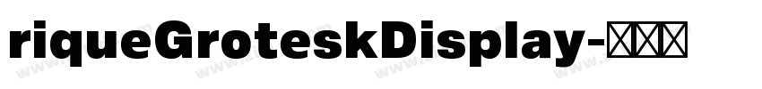 riqueGroteskDisplay字体转换