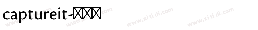 captureit字体转换