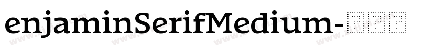enjaminSerifMedium字体转换