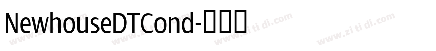NewhouseDTCond字体转换