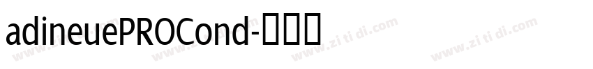 adineuePROCond字体转换