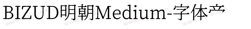 BIZUD明朝Medium字体转换