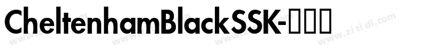CheltenhamBlackSSK字体转换