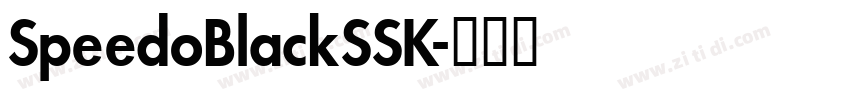 SpeedoBlackSSK字体转换