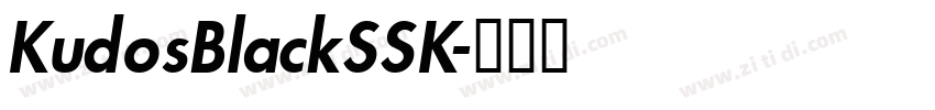 KudosBlackSSK字体转换
