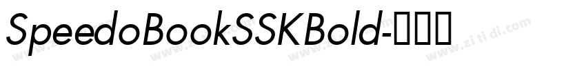 SpeedoBookSSKBold字体转换
