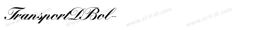 TransportDBol字体转换