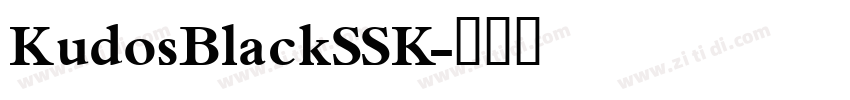 KudosBlackSSK字体转换