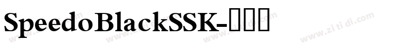 SpeedoBlackSSK字体转换