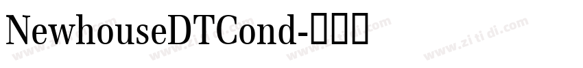 NewhouseDTCond字体转换