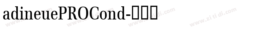 adineuePROCond字体转换