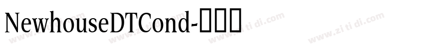 NewhouseDTCond字体转换