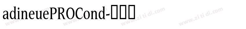 adineuePROCond字体转换