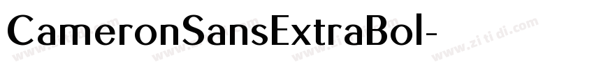 CameronSansExtraBol字体转换