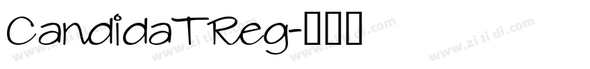 CandidaTReg字体转换