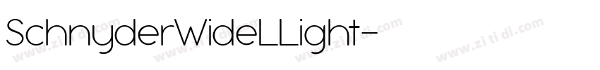 SchnyderWideLLight字体转换
