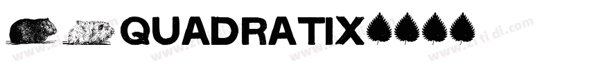 01Quadratix字体转换