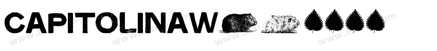 CapitolinaW01字体转换