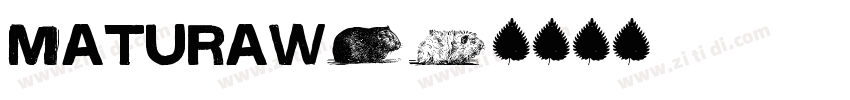 MaturaW01字体转换