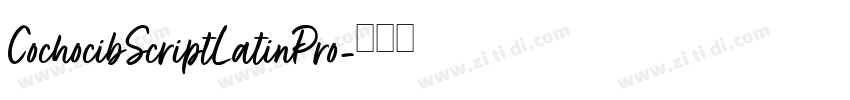 CochocibScriptLatinPro字体转换