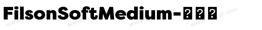 FilsonSoftMedium字体转换