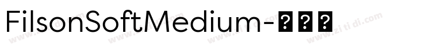 FilsonSoftMedium字体转换