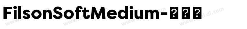 FilsonSoftMedium字体转换