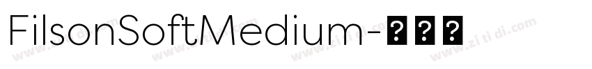 FilsonSoftMedium字体转换