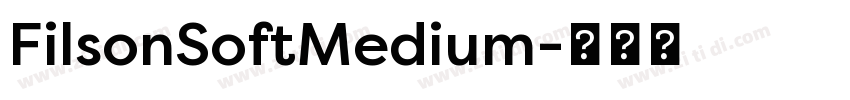 FilsonSoftMedium字体转换
