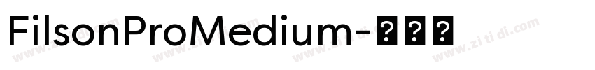FilsonProMedium字体转换