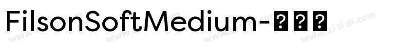 FilsonSoftMedium字体转换