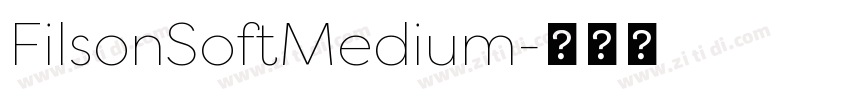 FilsonSoftMedium字体转换