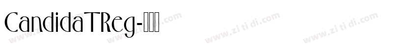CandidaTReg字体转换