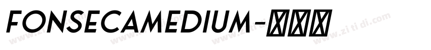 FonsecaMedium字体转换