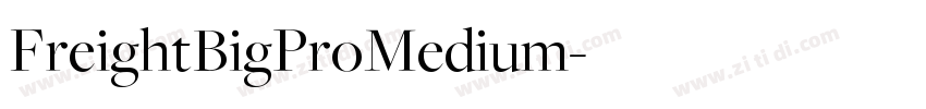 FreightBigProMedium字体转换