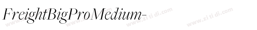 FreightBigProMedium字体转换